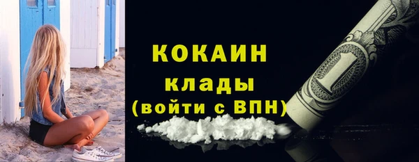 молекула духа Ладушкин