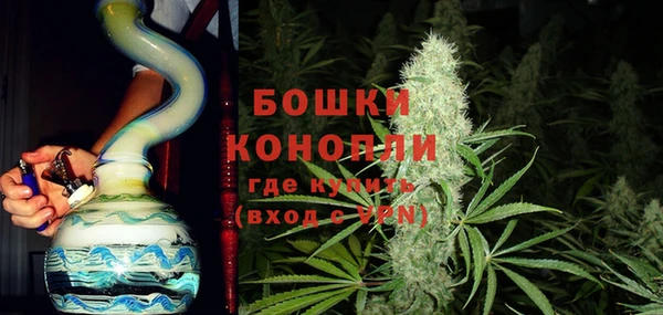 молекула духа Ладушкин