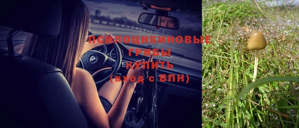 соль ск Липки