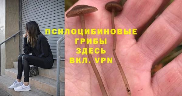 ПСИЛОЦИБИНОВЫЕ ГРИБЫ Лиски